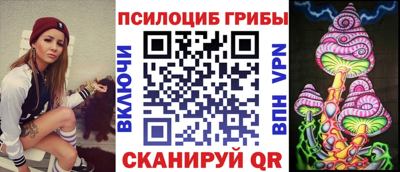 где купить   Богородицк  Галлюциногенные грибы Magic Shrooms 